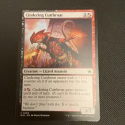 6 Card Bundle- Assassin ; Magic: The Gathering; MTG - Image 5