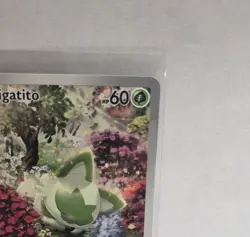 Sprigatito Holo Illustration Rare SV02: Paldea Evolved 196/193 - Near Mint - Image 4