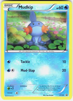 Mudkip XY38 Holo Promo XY Promo Pokemon Lightly Played - Image 1