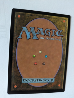 Chinese Taoist Mystic Portal 3K MTG NM Free shipping with tracking - Image 2