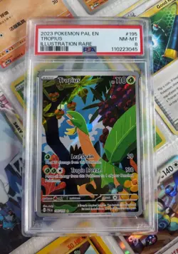 Tropius Pokemon Paldea Evolved Illustration Rare 195 - PSA 8 with Goodies! - Image 1