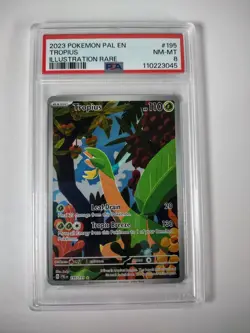 Tropius Pokemon Paldea Evolved Illustration Rare 195 - PSA 8 with Goodies! - Image 2