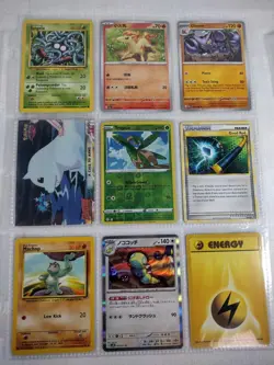 Tropius Pokemon Paldea Evolved Illustration Rare 195 - PSA 8 with Goodies! - Image 4