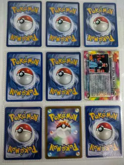 Tropius Pokemon Paldea Evolved Illustration Rare 195 - PSA 8 with Goodies! - Image 5