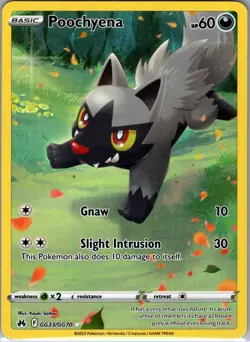 Poochyena GG33/GG70 Holo Crown Zenith Galarian Gallery Pokemon NM - Image 1