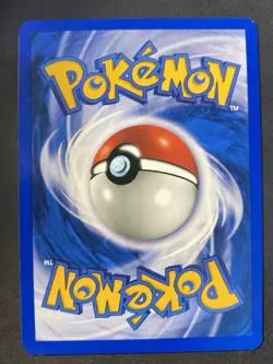 Misty's Seel 91/132 Gym Challenge Common - Pokemon Card Near Mint - Image 2