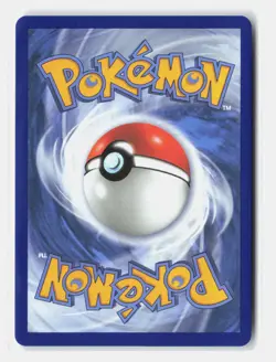 Litten 044 Holo Promo ME: Mega Evolution Promo Holo Near Mint - Image 2