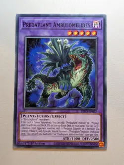 YUGIOH TCG Dimension Forces - Predaplant Ambulomelides DIFO-EN037 - Image 1