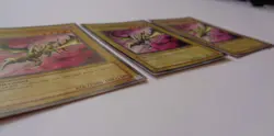 Playset: 3x Curse Of Dragon SDY-008 (Common, Unlimited, Moderately Played / MP) - Image 2