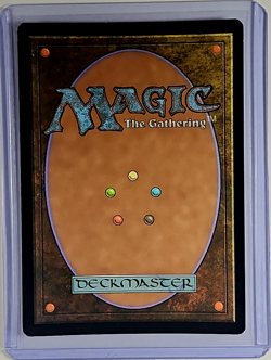 2019 MTG Magic the Gathering Secret Lair Foil Promo Sorin Vengeful Bloodlord LP - Image 2