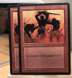 Magic: The Gathering: Legends French: 2x Immolation red enchantment - Image 1