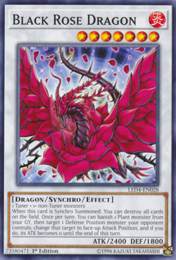 Black Rose Dragon (LED4-EN028) - Common First ed. Yu-Gi-Oh! - Image 1