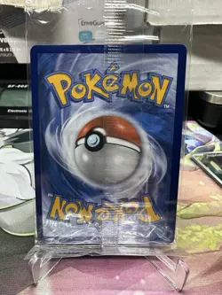 Pokemon Mega Charizard X ex & Oricorio ex Mega Evolution Black Star Promo Sealed - Image 4