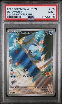 Pokemon TCG - Oshawott Illustration Rare Holo Sv: White Flare 105/086 - PSA 9 - Image 1