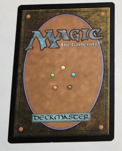 MTG Evra Halcyon Witness 016 DOM Dominaria Rare LP x1 - Image 2