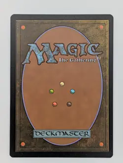 MTG - Evolving Wilds - AFR - C - Dungeon Module Foil - 353 - Image 2