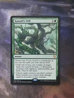 Kamahl's Will - Image 1