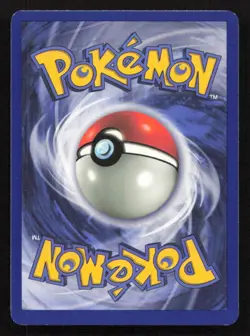 Pidgeot 24/64 Jungle 1st Edition NM/M Pokemon - Image 2