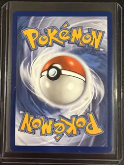 Turtwig 040 Holo Promo ME: Mega Evolution Promo Pokemon Near Mint - Image 2