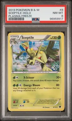 PSA 8 2013 Sceptile 8/116 Holo Rare Plasma Freeze Pokemon Low Pop - 6 - Image 1