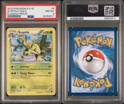 PSA 8 2013 Sceptile 8/116 Holo Rare Plasma Freeze Pokemon Low Pop - 6 - Image 3
