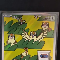 Pokemon TCG Pidgey 207/197 SV03 Obsidian Flames Illustration Rare Holo ENG - Image 5