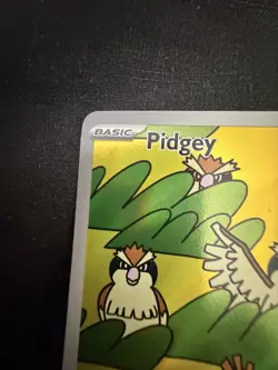 Pokemon TCG Pidgey 207/197 SV03 Obsidian Flames Illustration Rare Holo - Image 3