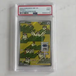 Pokemon TCG SV Obsidian Flames Pidgey 207/197 Illustration Rare Holo PSA 9 - Image 1