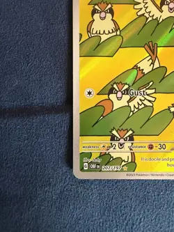 Pokemon TCG Pidgey 207/197 SV03: Obsidian Flames Holo Illustration Rare - Image 2