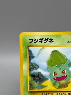 Bulbasaur No. 001 #1 Pokemon Intro Pack Starter Deck 1999 Japanese From Japan - Image 4