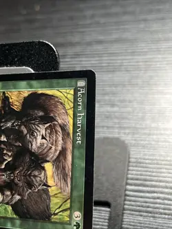 Acorn Harvest MTG Torment #118/143 – Moderately Played - Image 2