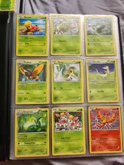 Pokemon Card Set Fates Collide Complete 124/124 In Folder - Image 1