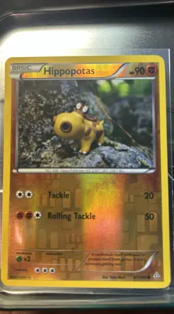 Pokemon Hippopotas 87/160 XY Primal Clash Reverse Holo Eng 2015, Yuka Morii - Image 3