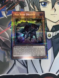 Yu-Gi-Oh MP25-EN037 Red Rose Dragon Starlight Rare - Image 1