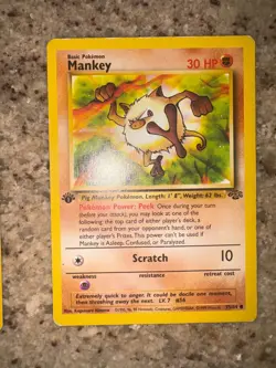 Pokemon TCG Vintage 1st Edition Lot - Fossil/Jungle Set - Image 2
