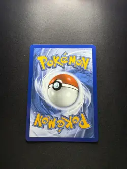 Pokemon TCG Totodile 048 Black Star Promo First Partners Collection Series 2 NM - Image 2