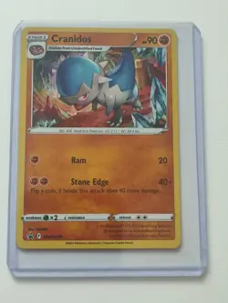 Pokemon TCG - Cranidos SWSH274 - Black Star Promo N/M - Image 1