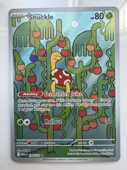 Shuckle 136/132 - ME01: Mega Evolution Pokemon Illustration Rare Holo NM - Image 1