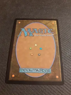 Magic The Gathering Mtg Turbulent Wilderness Borderless Near Mint Strixhaven - Image 2