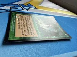 Land Grant 255/350 Mercadian Masques - Vintage Magic the Gathering 1999 - Image 3