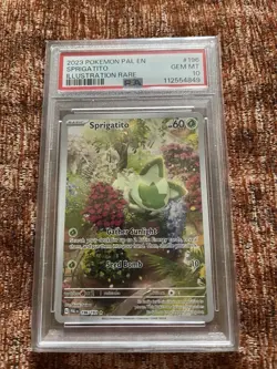 Sprigatito 196/193 Pokemon TCG Paldea Evolved Illustration Rare PSA Gem 10 - Image 1