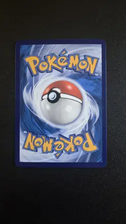 Pokemon TCG Torkoal 0607/07 Triple Rare Art Rare Chinese Gem Vol.4 NM - Image 5
