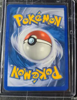NM Squirtle Expedition Base Set 2002 Regular Card - Image 2