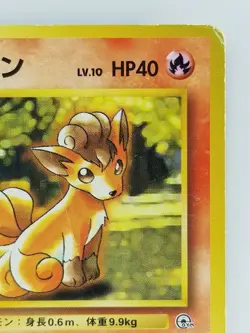 Brock's Vulpix Japanese Pokemon Card Nintendo No.037 LV.10 HP.40 TCG F/S - Image 3