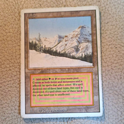 Wizards of the Coast Taiga Land Regular EN Rob Alexander Art - Image 1