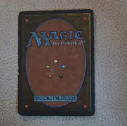 Wizards of the Coast Taiga Land Regular EN Rob Alexander Art - Image 2