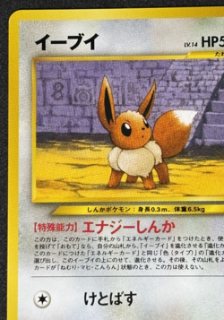 Pokemon TCG Eevee Neo Premium File 2 Promo No. 133 Japanese Card - Image 3