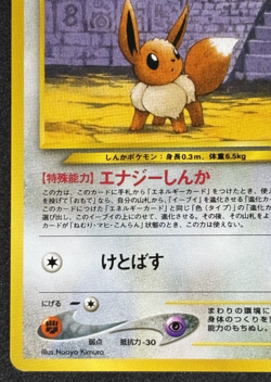 Pokemon TCG Eevee Neo Premium File 2 Promo No. 133 Japanese Card - Image 5