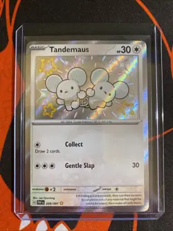 Tandemaus 209/091 Shiny Rare Paldean Fates Pokemon Near Mint - Image 3