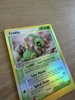 Pokemon TCG Cradily EX Sandstorm 3/100 Reverse Holo Rare 2003 - PLAYED - Image 5